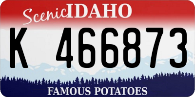 ID license plate K466873