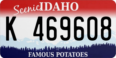 ID license plate K469608