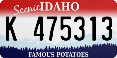 ID license plate K475313