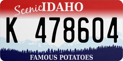 ID license plate K478604