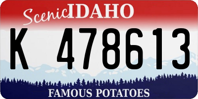ID license plate K478613