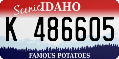 ID license plate K486605