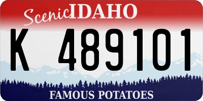 ID license plate K489101