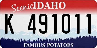 ID license plate K491011