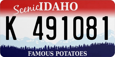ID license plate K491081