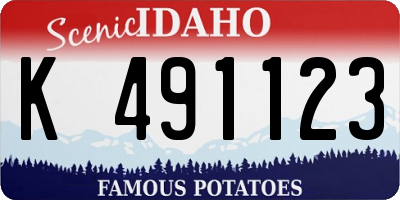 ID license plate K491123