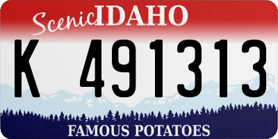 ID license plate K491313