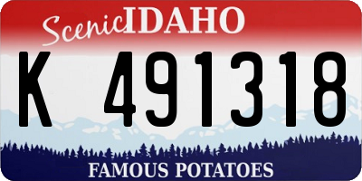 ID license plate K491318