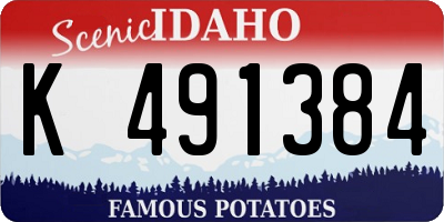 ID license plate K491384