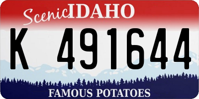 ID license plate K491644
