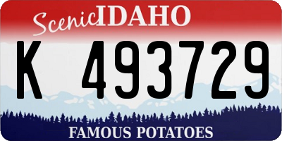 ID license plate K493729