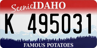 ID license plate K495031