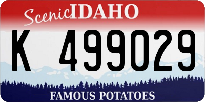 ID license plate K499029