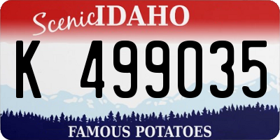 ID license plate K499035
