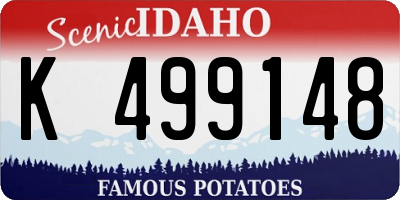 ID license plate K499148