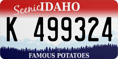 ID license plate K499324