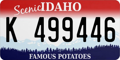 ID license plate K499446