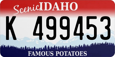 ID license plate K499453