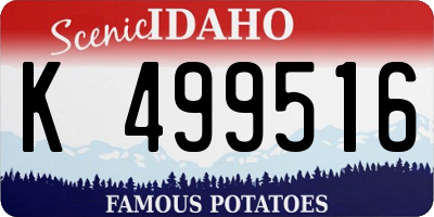 ID license plate K499516