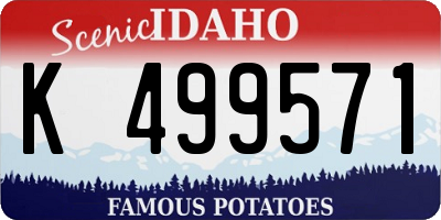 ID license plate K499571