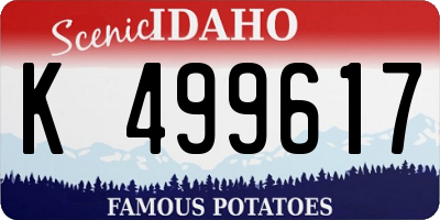 ID license plate K499617