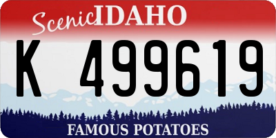 ID license plate K499619