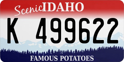 ID license plate K499622