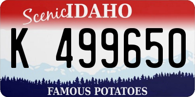 ID license plate K499650