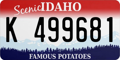 ID license plate K499681