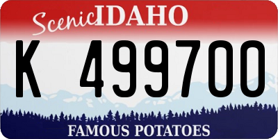 ID license plate K499700