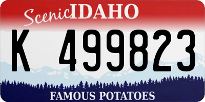 ID license plate K499823