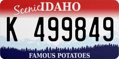 ID license plate K499849