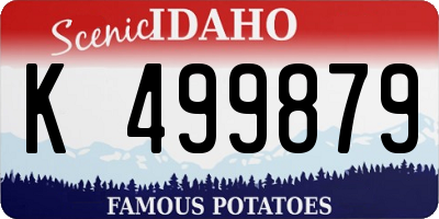 ID license plate K499879