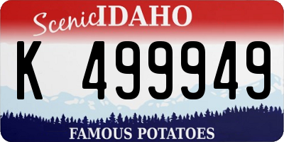ID license plate K499949