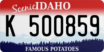 ID license plate K500859