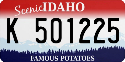 ID license plate K501225