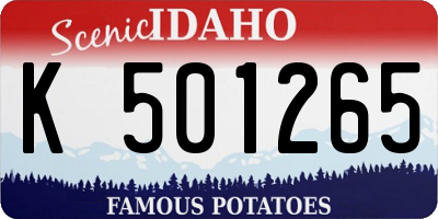 ID license plate K501265