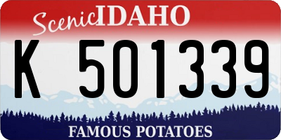 ID license plate K501339