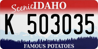 ID license plate K503035