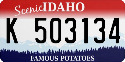 ID license plate K503134