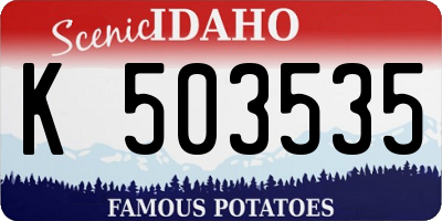 ID license plate K503535