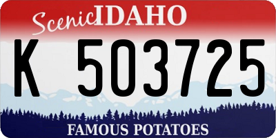 ID license plate K503725