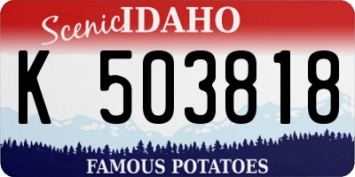 ID license plate K503818