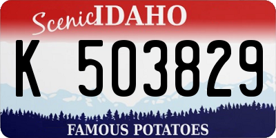 ID license plate K503829