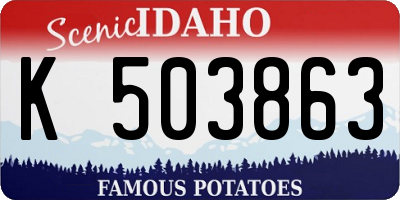 ID license plate K503863