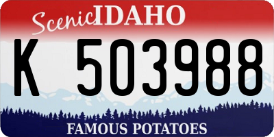 ID license plate K503988