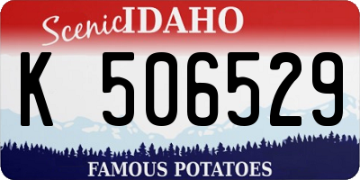 ID license plate K506529
