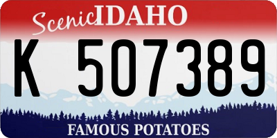 ID license plate K507389