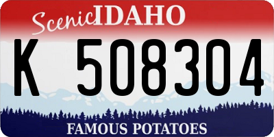 ID license plate K508304