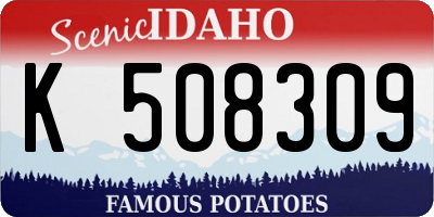 ID license plate K508309